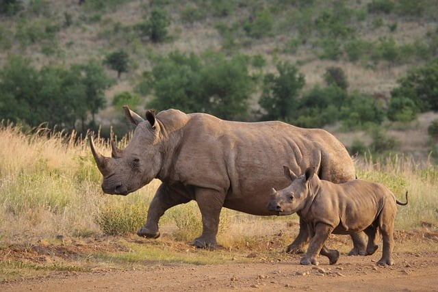 visit Nairobi Park