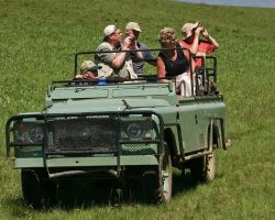 Safari Jeep for hire in Kenya 4wd