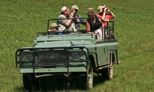 Safari Jeep car